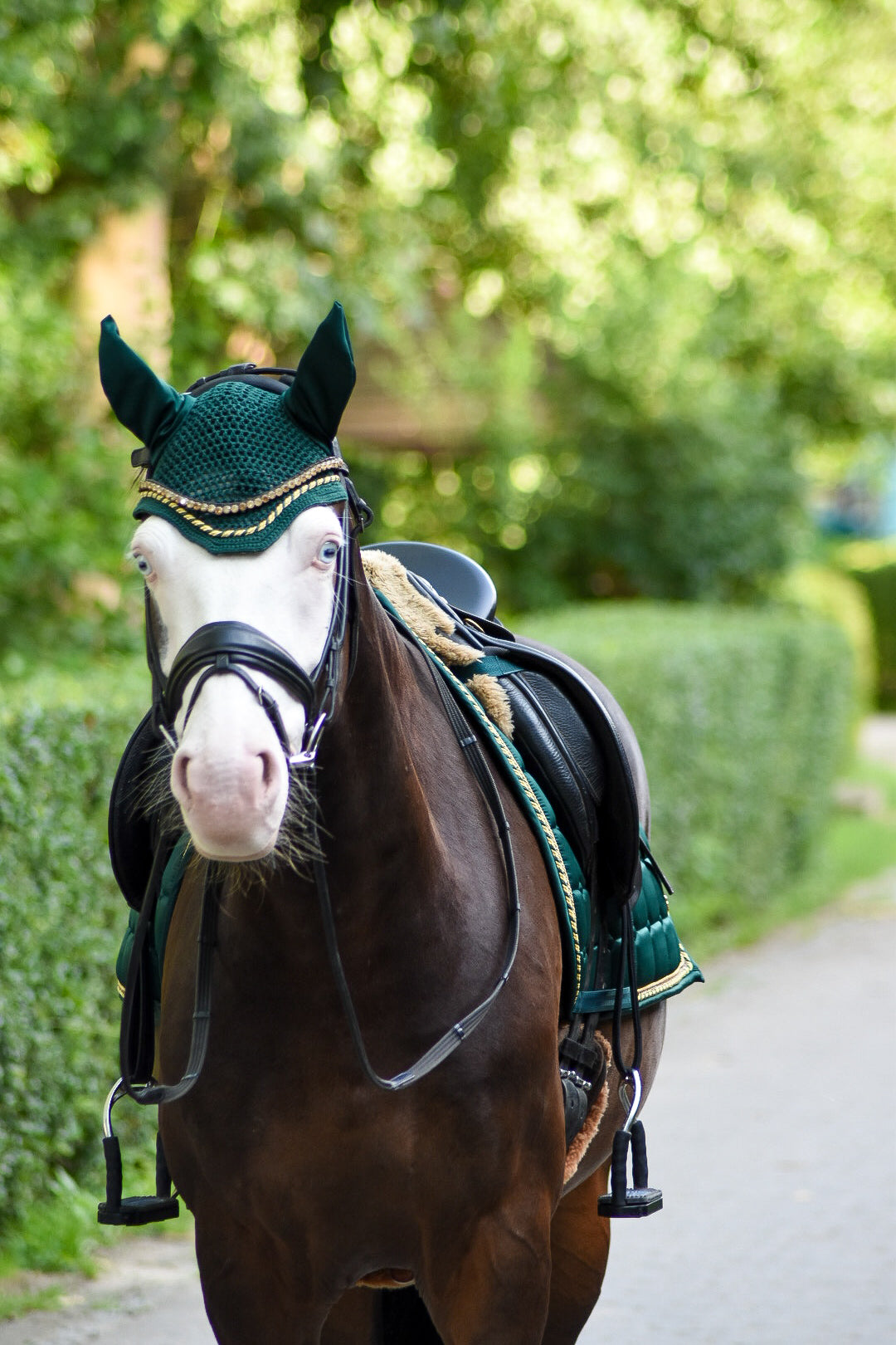 Equestbun Dressur Set Royal Forest