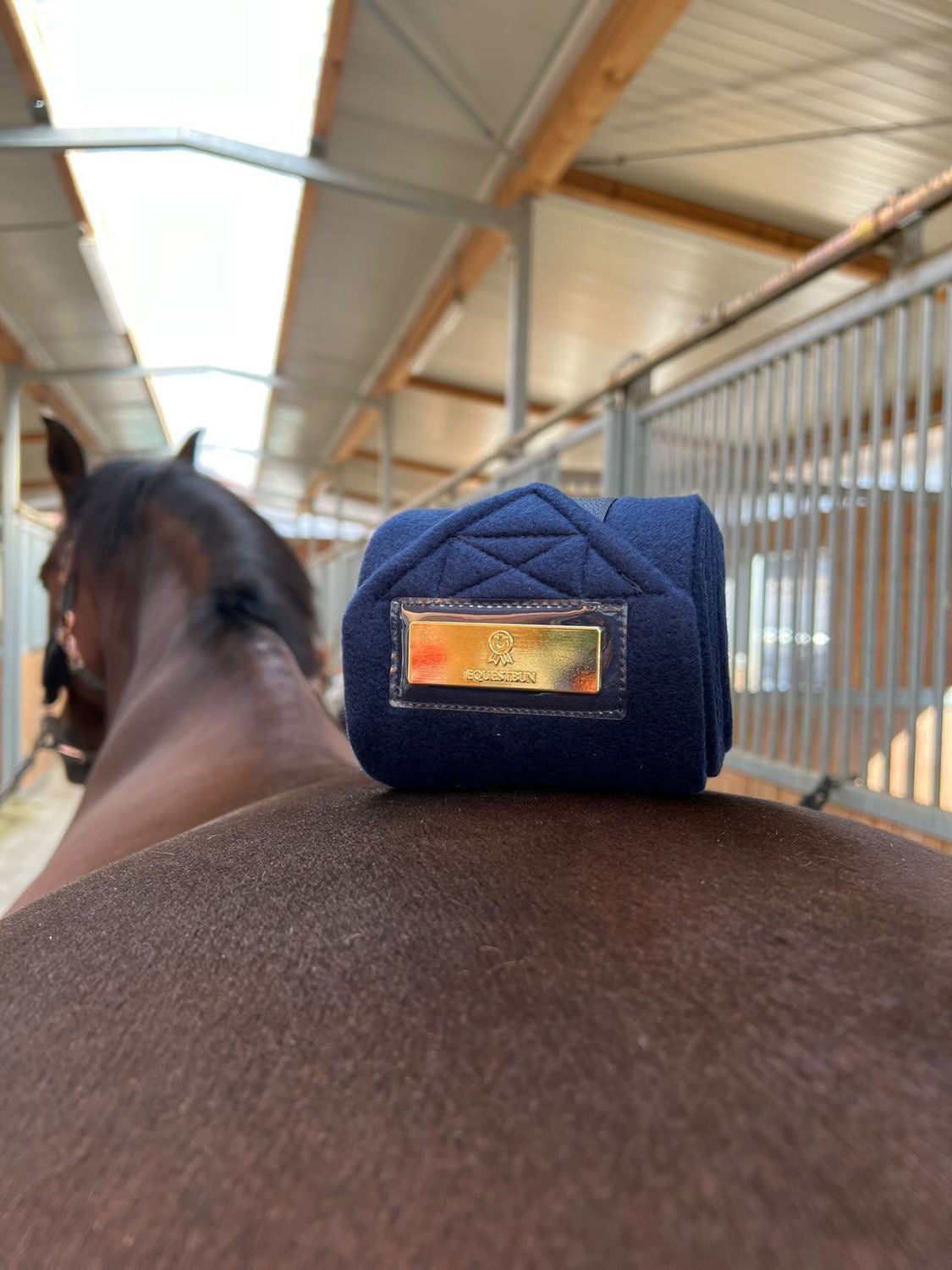 Equestbun Bandagen navy