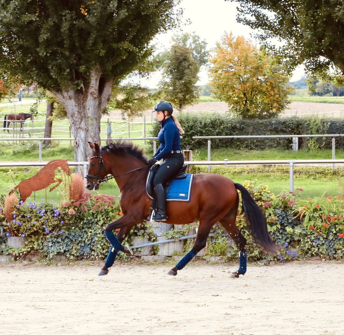 Dressur Set Equestbun gold blau am Pferd