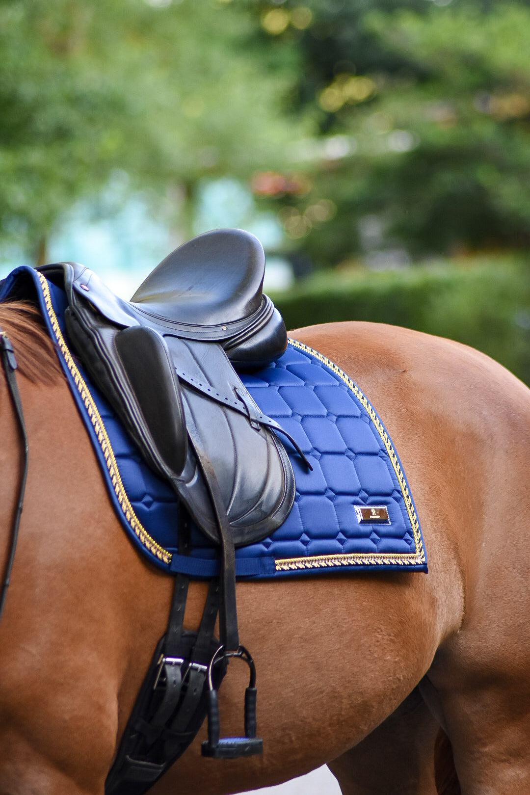 Ocean Diamond in Blau am Pferd